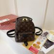 Louis Vuitton handbags Backpack For Sale