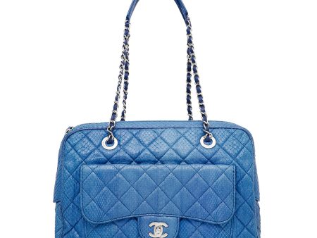 Chanel Blue CC Python Camera Case Large Bag Discount