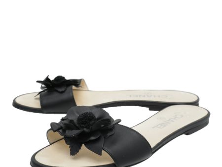 Chanel Bicolor Camellia Flat Sandals 38 Online Sale