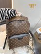 Louis vuitton handbags Backpack on Sale