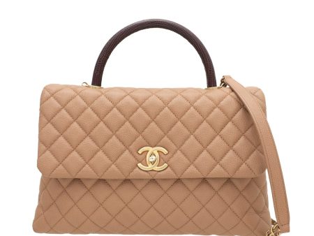 Chanel Bicolor Coco Handle Bag W- Lizard Handle Online Sale