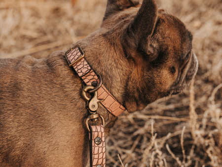 Dog Collar - Pink Croco Hot on Sale