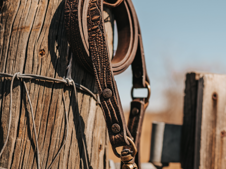 Dog Leash - Brown Distressed Online Sale