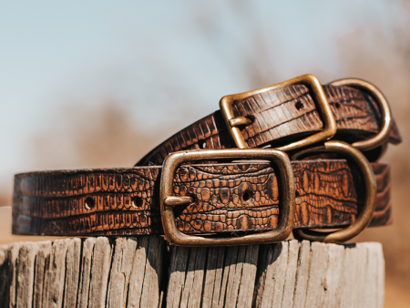 Dog Collar - Brown Distressed For Cheap