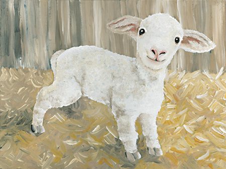 CIN2512 - Titus the Tiny Lamb - 16x12 For Cheap