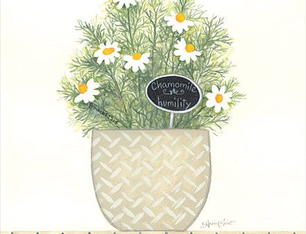 ALP2057 - Chamomile Humility - 12x16 Supply