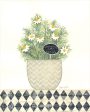 ALP2057 - Chamomile Humility - 12x16 Supply